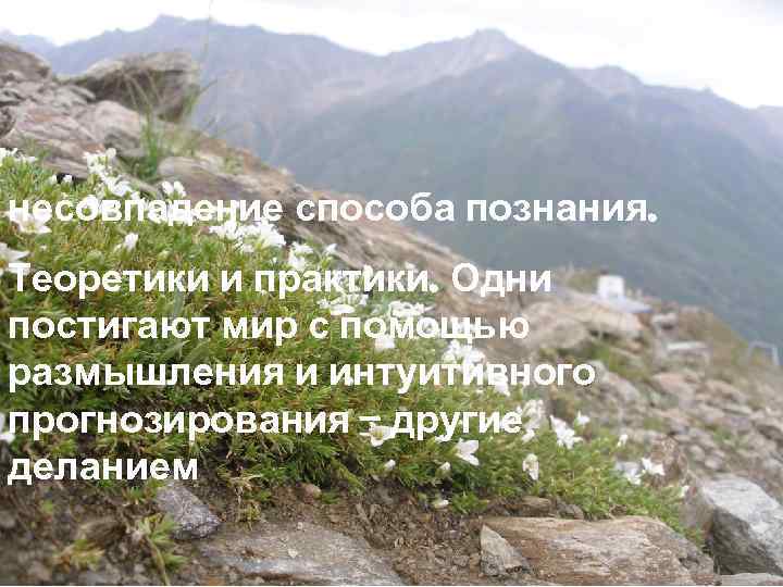 несовпадение способа познания. Теоретики и практики. Одни постигают мир с помощью размышления и интуитивного
