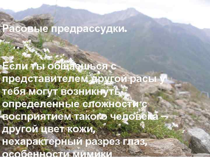Расовые предрассудки. Если ты общаешься с представителем другой расы у тебя могут возникнуть определенные