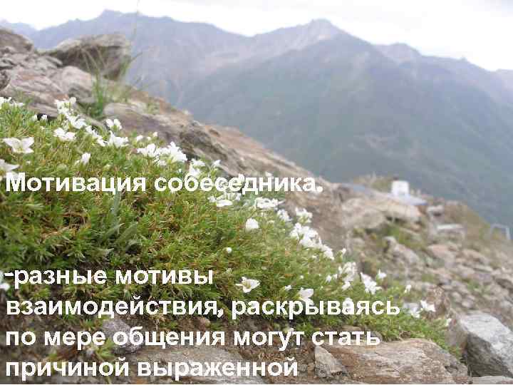 Мотивация собеседника. -разные мотивы взаимодействия, раскрываясь по мере общения могут стать причиной выраженной 