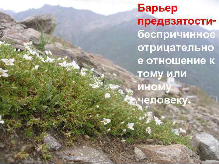 Барьер предвзятости- беспричинное отрицательно е отношение к тому или иному человеку. 