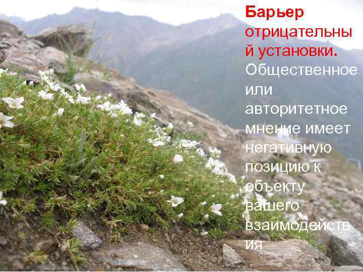 Барьер отрицательны й установки. Общественное или авторитетное мнение имеет негативную позицию к объекту вашего