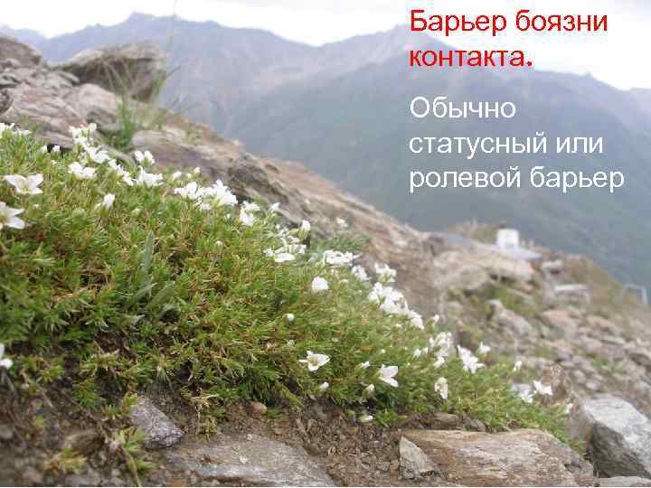 Барьер боязни контакта. Обычно статусный или ролевой барьер 