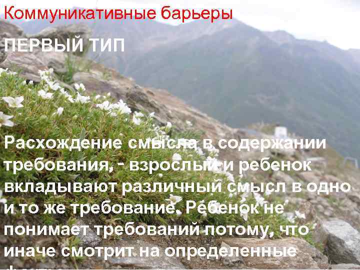 Коммуникативные барьеры ПЕРВЫЙ ТИП Расхождение смысла в содержании требования, - взрослый и ребенок вкладывают