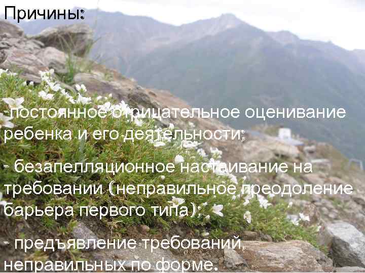 Причины: -постоянное отрицательное оценивание ребенка и его деятельности; - безапелляционное настаивание на требовании (неправильное