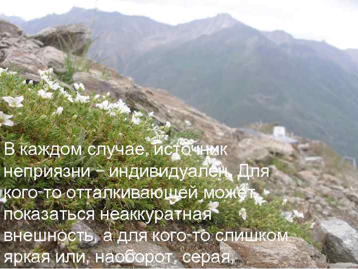 В каждом случае, источник неприязни – индивидуален. Для кого-то отталкивающей может показаться неаккуратная внешность,