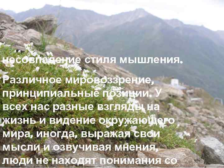 несовпадение стиля мышления. Различное мировоззрение, принципиальные позиции. У всех нас разные взгляды на жизнь