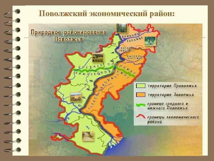 Поволжский экономический район: 