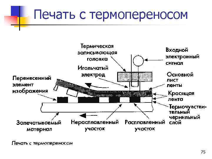 Печать с термопереносом 75 