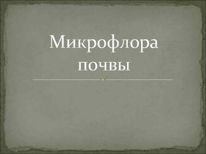 Микрофлора почвы 