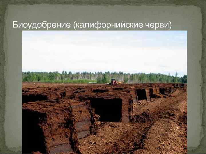 Биоудобрение (калифорнийские черви) 