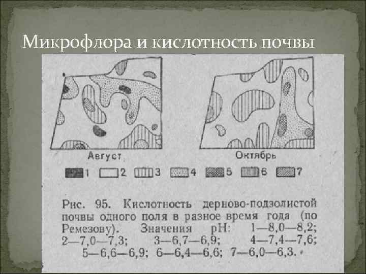 Микрофлора и кислотность почвы 