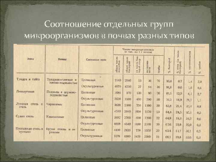 Соотношение отдельных групп микроорганизмов в почвах разных типов 