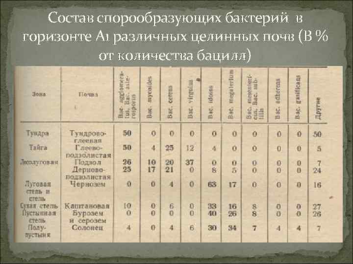 Состав спорообразующих бактерий в горизонте А 1 различных целинных почв (В % от количества