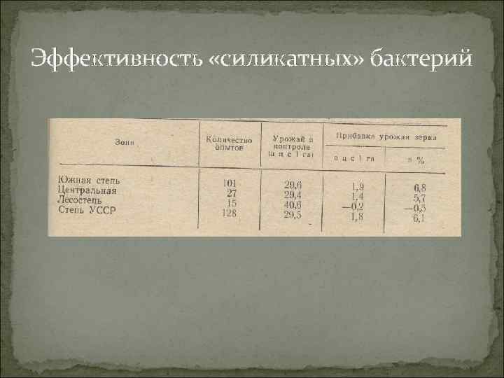 Эффективность «силикатных» бактерий 