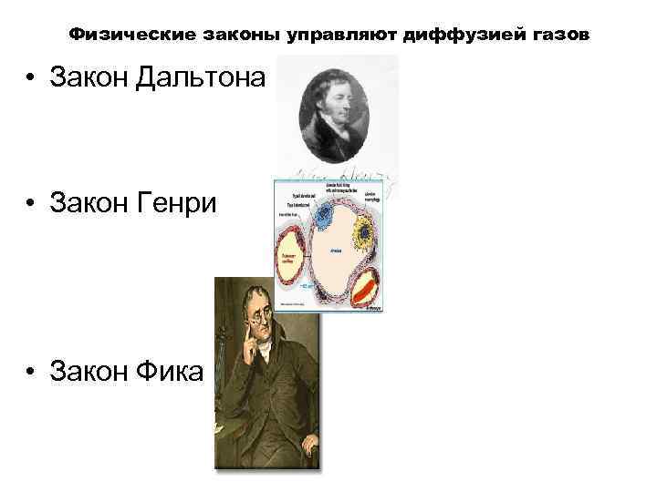 Физические законы управляют диффузией газов • Закон Дальтона • Закон Генри • Закон Фика