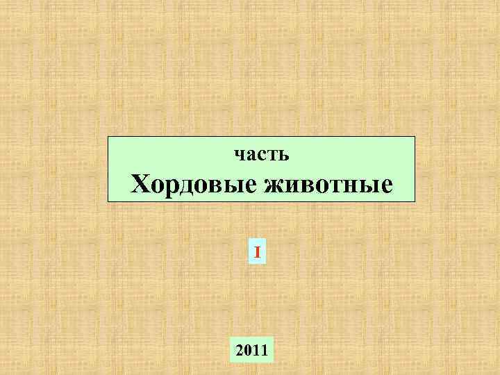  часть Хордовые животные I 2011 