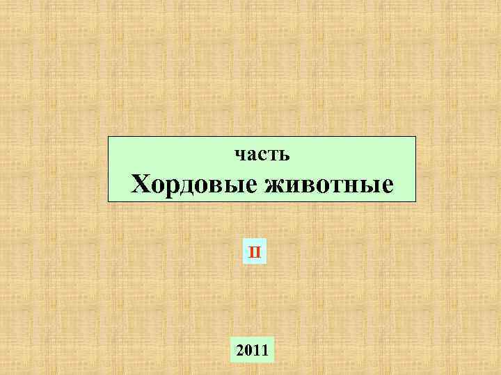 часть Хордовые животные II 2011 