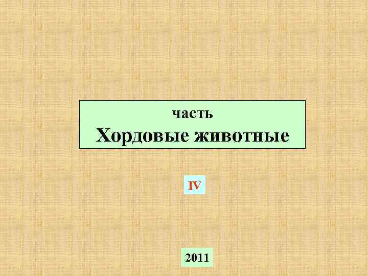  часть Хордовые животные IV 2011 