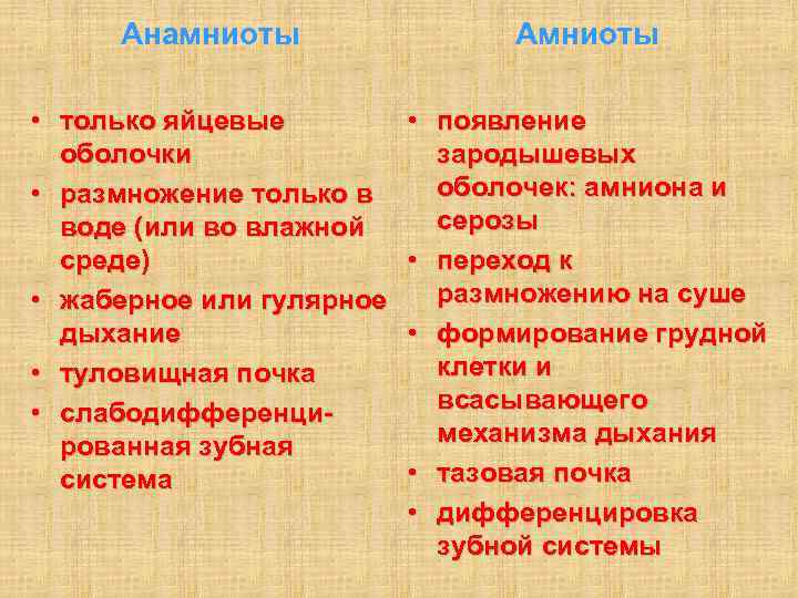  Анамниоты Амниоты • только яйцевые • появление оболочки зародышевых • размножение только в