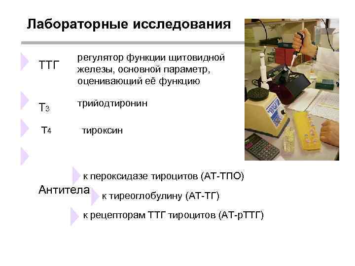 Лабораторные исследования ТТГ регулятор функции щитовидной железы, основной параметр, оценивающий её функцию Т 3