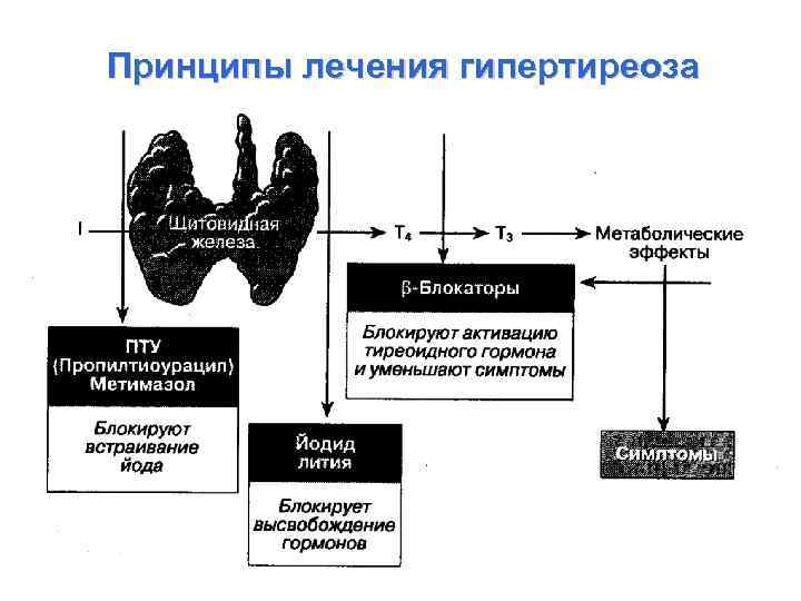 Принципы лечения гипертиреоза 