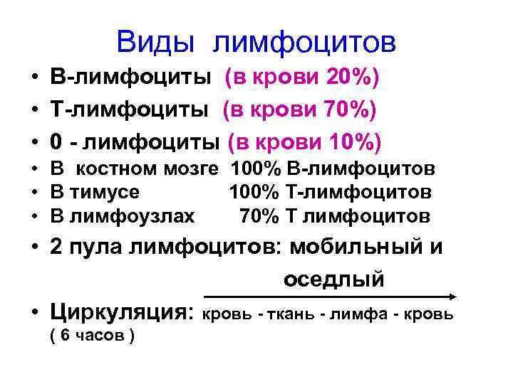 Виды лимфоцитов • В-лимфоциты (в крови 20%) • Т-лимфоциты (в крови 70%) • 0