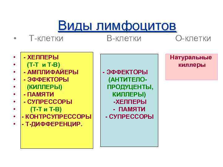  • Виды лимфоцитов Т-клетки • - ХЕЛПЕРЫ • (Т-Т и Т-В) • -