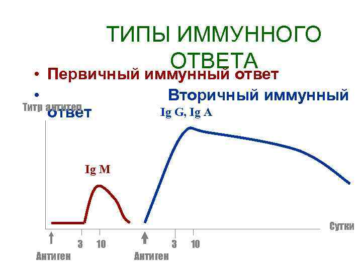  • • ТИПЫ ИММУННОГО ОТВЕТА Первичный иммунный ответ Вторичный иммунный Титр антител ответ