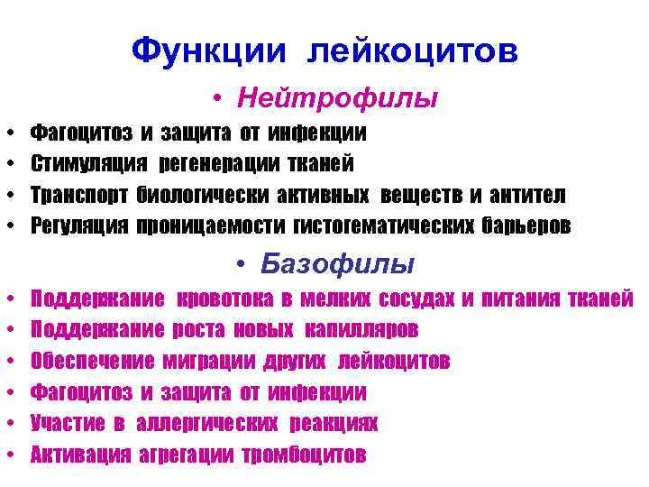 Функции лейкоцитов • Нейтрофилы • • Фагоцитоз и защита от инфекции Стимуляция регенерации тканей