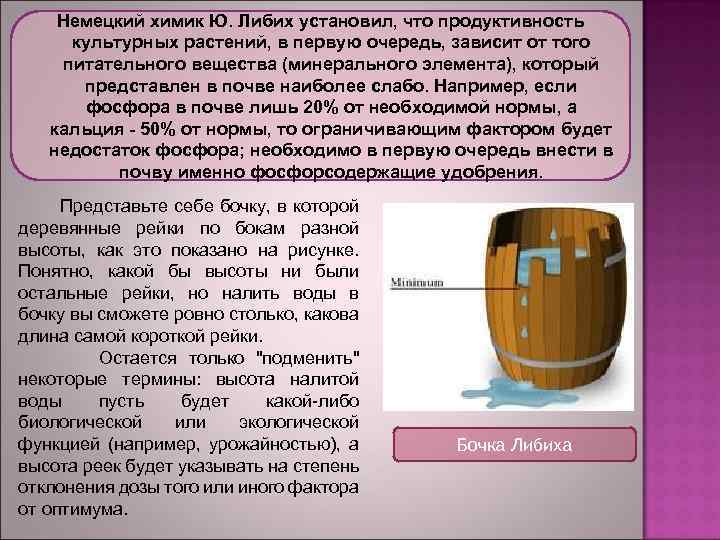  Немецкий химик Ю. Либих установил, что продуктивность культурных растений, в первую очередь, зависит