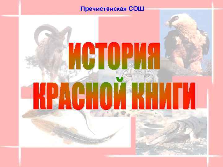 Пречистенская СОШ 