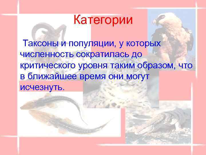 Категории Таксоны и популяции, у которых численность сократилась до критического уровня таким образом, что