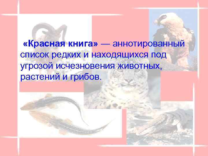  «Красная книга» — аннотированный список редких и находящихся под угрозой исчезновения животных, растений