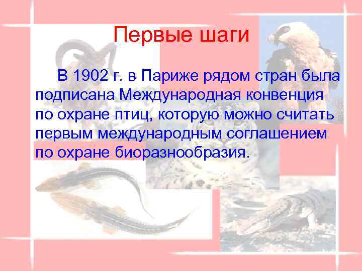 Первые шаги В 1902 г. в Париже рядом стран была подписана Международная конвенция по