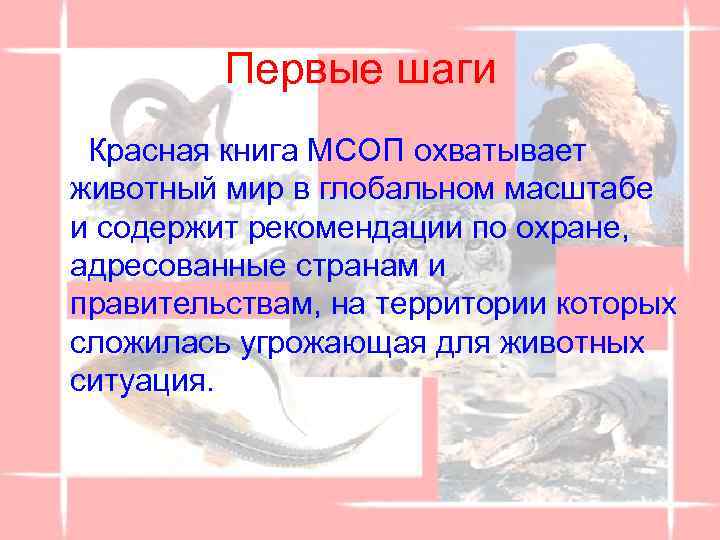 Первые шаги Красная книга МСОП охватывает животный мир в глобальном масштабе и содержит рекомендации