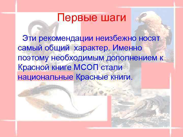 Первые шаги Эти рекомендации неизбежно носят самый общий характер. Именно поэтому необходимым дополнением к