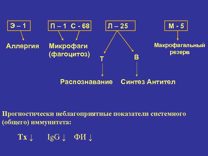 Э– 1 Аллергия П – 1 С - 68 Микрофаги (фагоцитоз) Л – 25