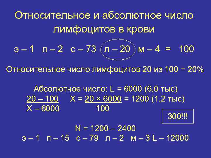 Относительное и абсолютное число лимфоцитов в крови э – 1 п – 2 с