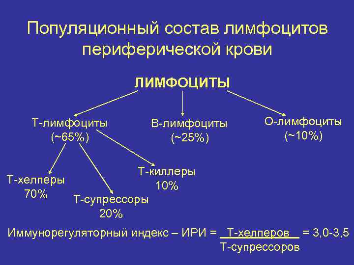 Популяционный состав лимфоцитов периферической крови ЛИМФОЦИТЫ Т-лимфоциты (~65%) В-лимфоциты (~25%) О-лимфоциты (~10%) Т-киллеры Т-хелперы