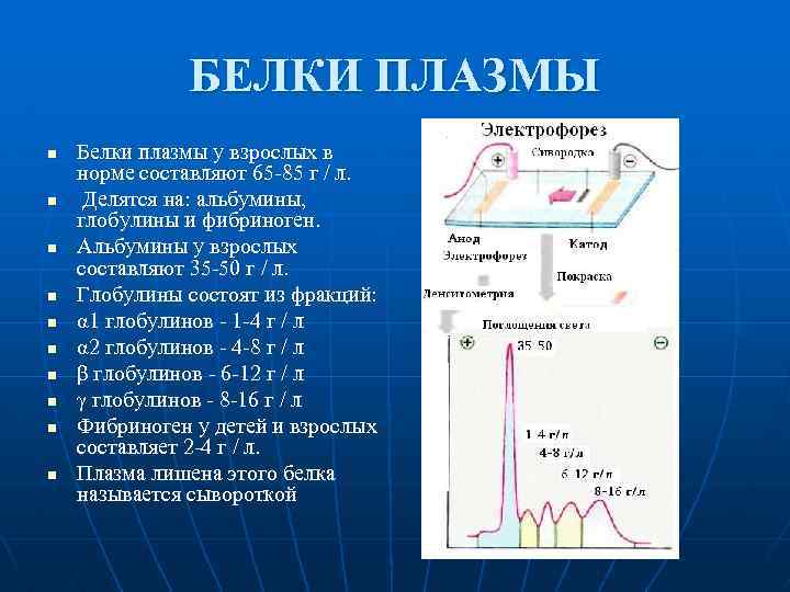 Белки плазмы. Электрофорез белков плазмы крови. Электрофоретическое Разделение белков плазмы крови. Электрофорез белков плазмы. Белки плазмы крови электрофоретически делятся на.