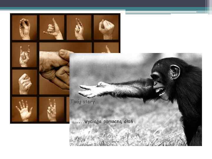 Взгляд •  Суженый, прищуренный взгляд  человека, когда мышца лица  сокращается так,