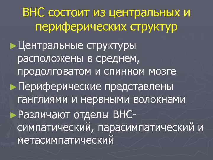 ВНС состоит из центральных и периферических структур ►Центральные структуры расположены в среднем, продолговатом и