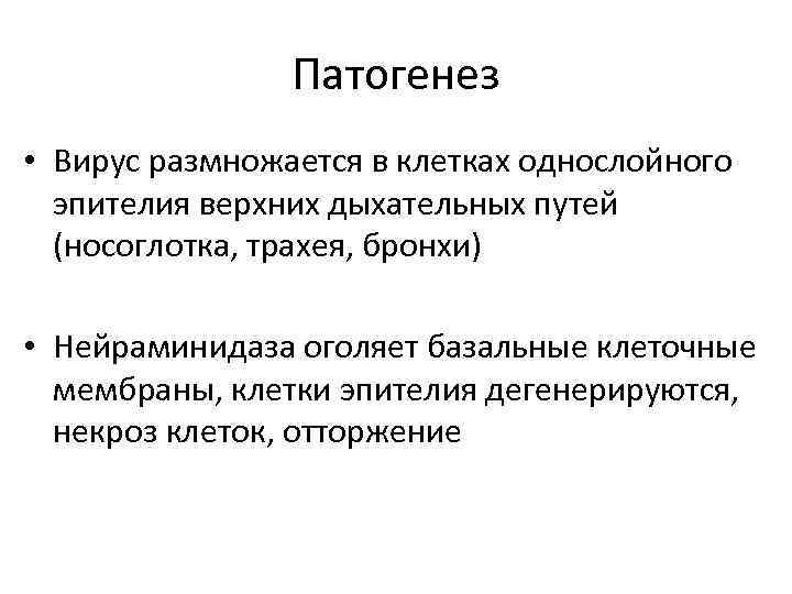 Патогенез • Вирус размножается в клетках однослойного эпителия верхних дыхательных путей (носоглотка, трахея, бронхи)