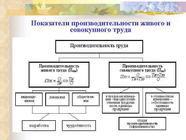 Показатели производительности живого и совокупного труда 