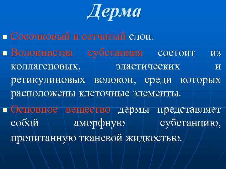  Дерма n Cосочковый и сетчатый слои. n Волокнистая субстанция состоит из коллагеновых, эластических