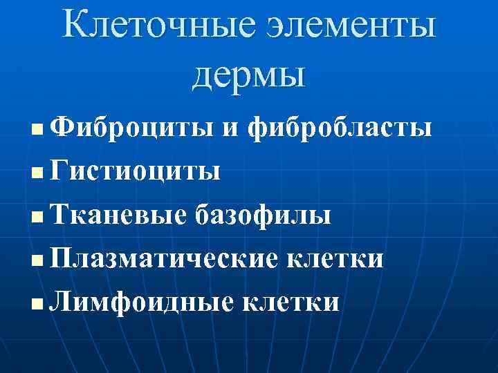  Клеточные элементы дермы n Фиброциты и фибробласты n Гистиоциты n Тканевые базофилы n