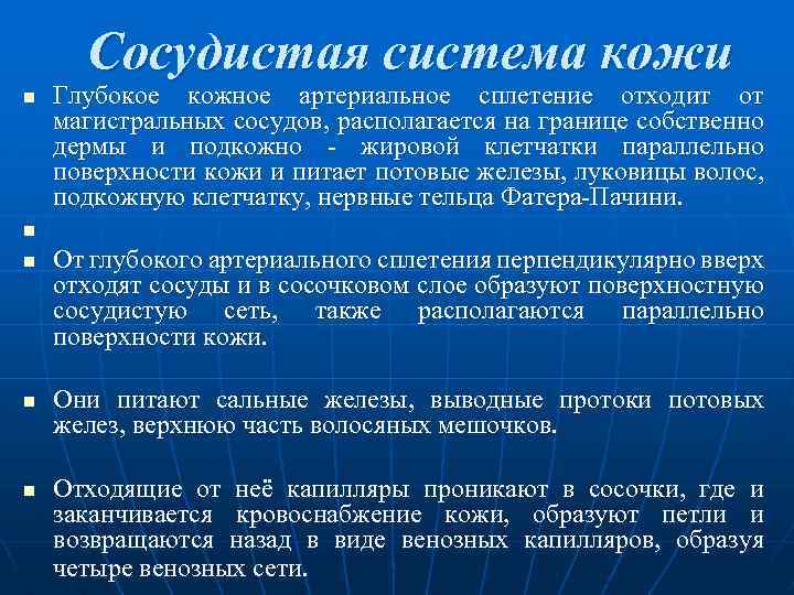  Сосудистая система кожи n Глубокое кожное артериальное сплетение отходит от магистральных сосудов, располагается