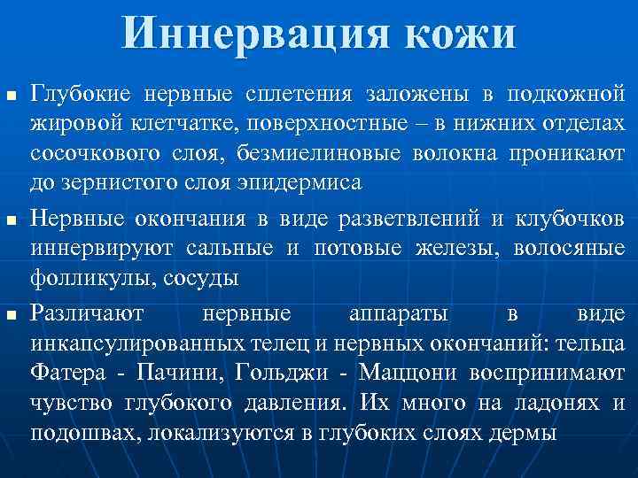  Иннервация кожи n Глубокие нервные сплетения заложены в подкожной жировой клетчатке, поверхностные –