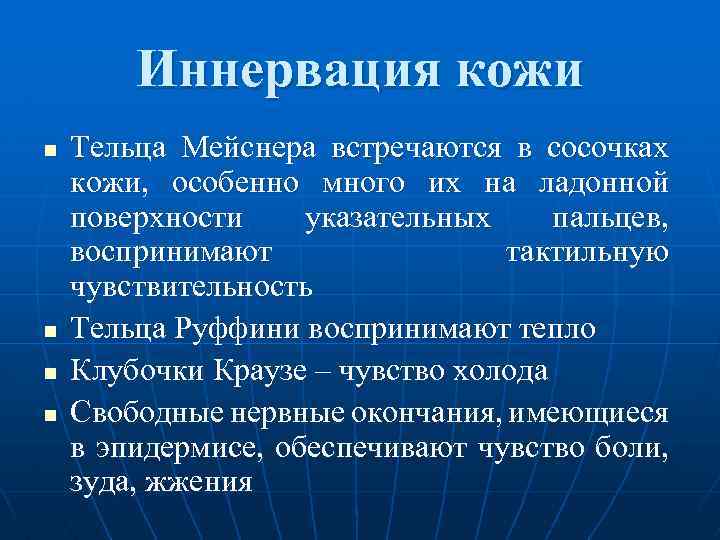  Иннервация кожи n Тельца Мейснера встречаются в сосочках кожи, особенно много их на