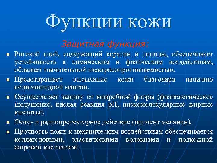  Функции кожи Защитная функция: n Роговой слой, содержащий кератин и липиды, обеспечивает устойчивость